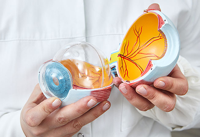 Diabetische Retinopathie